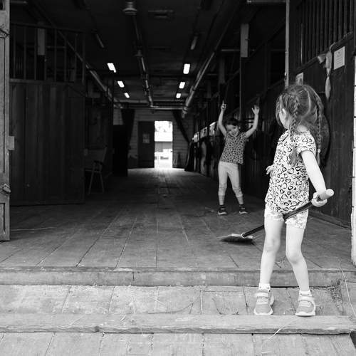 Photo #13719077