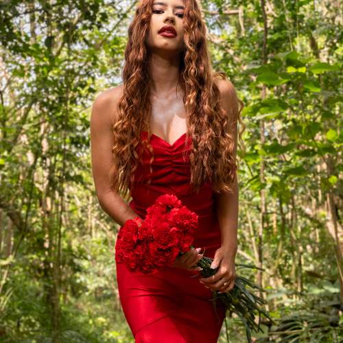 Rojo Clavel