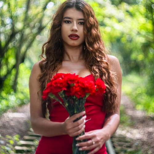 Rojo Clavel