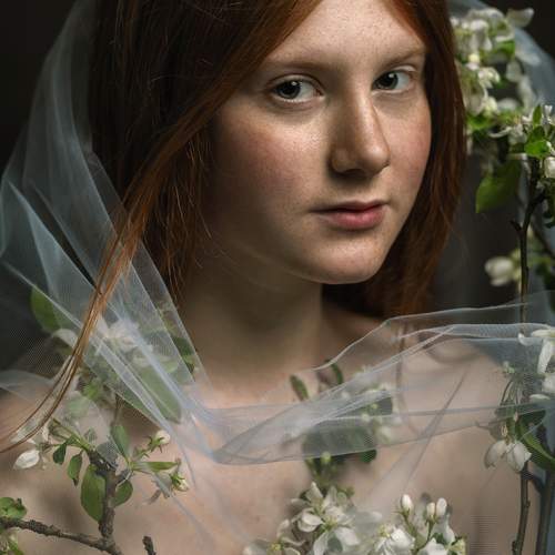 Photo #13719265