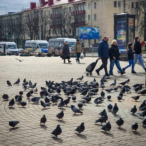 Photo #13719365