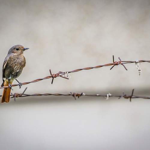 Photo #13719384
