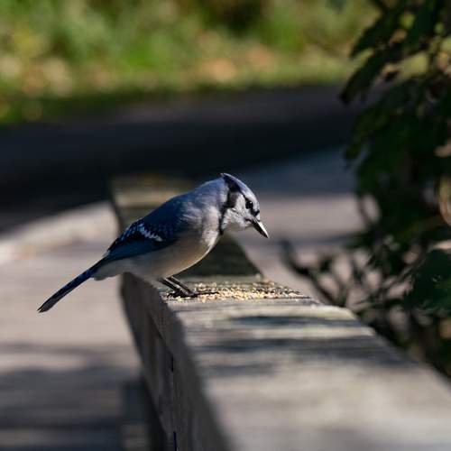 Photo #13719408