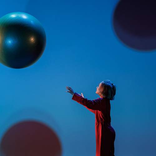 Photo #13719455