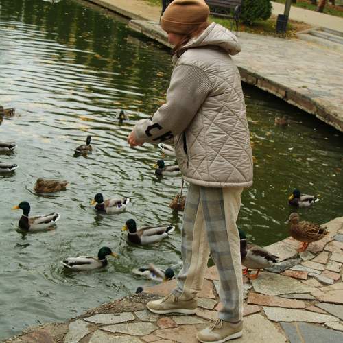 Photo #13719462