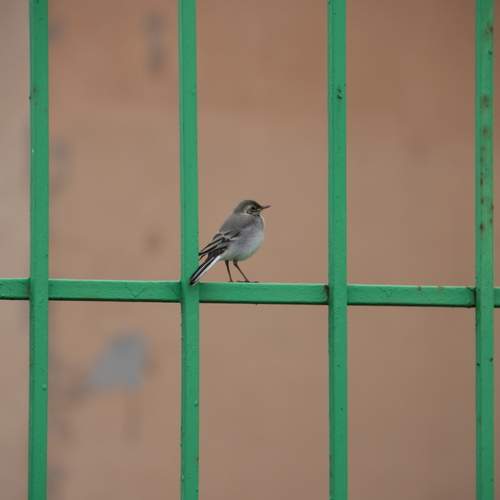 Photo #13719530