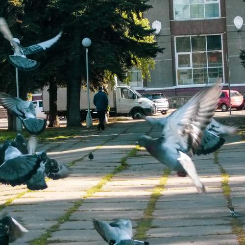 Photo #13719544
