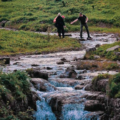 Photo #13719556