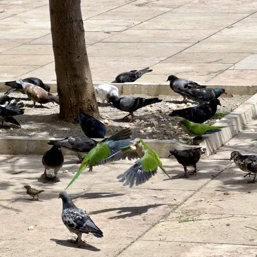 Photo #13719602
