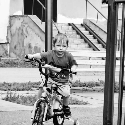 Photo #13719622