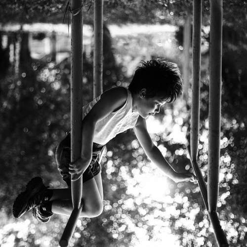 Photo #13719647