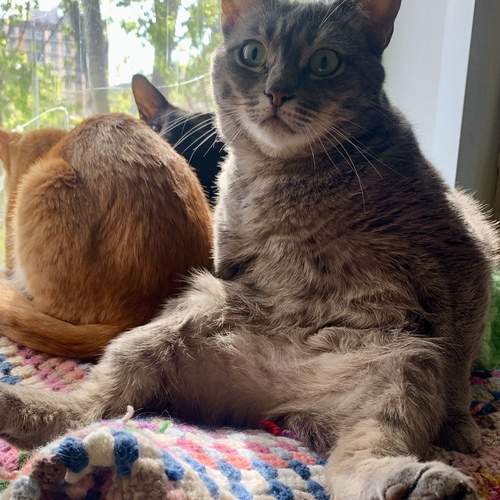 Photo #13719677