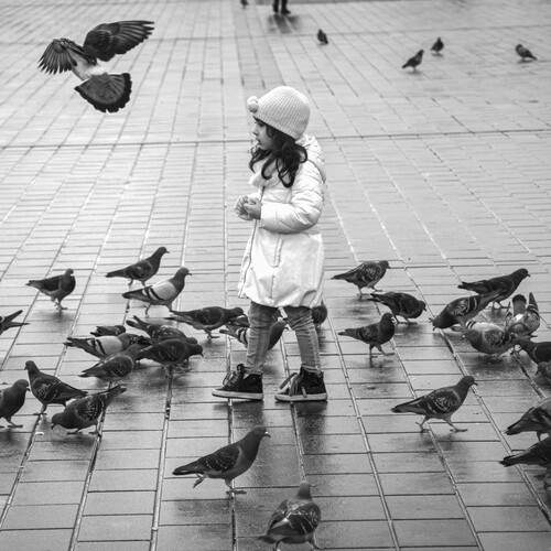 Photo #13719752