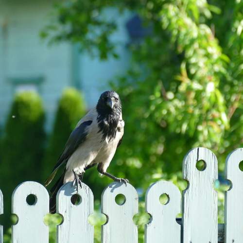 Photo #13719793