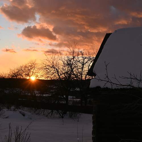 Photo #13719797