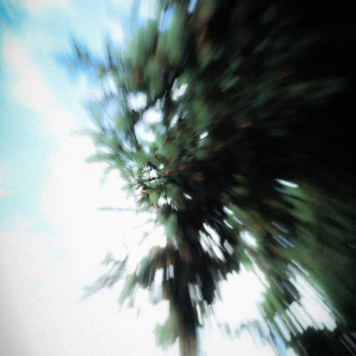 Photo #13719813