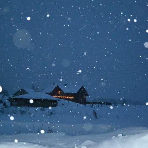 Photo #13719861