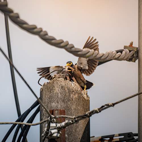 Photo #13719882