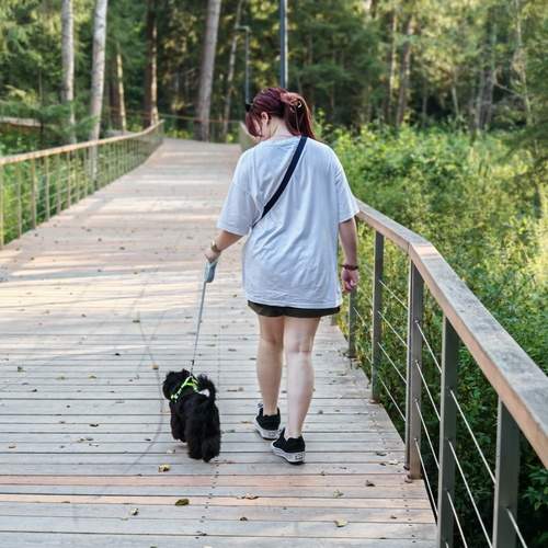 прогулка