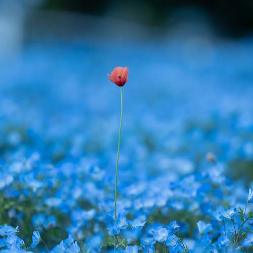 Photo #13719955