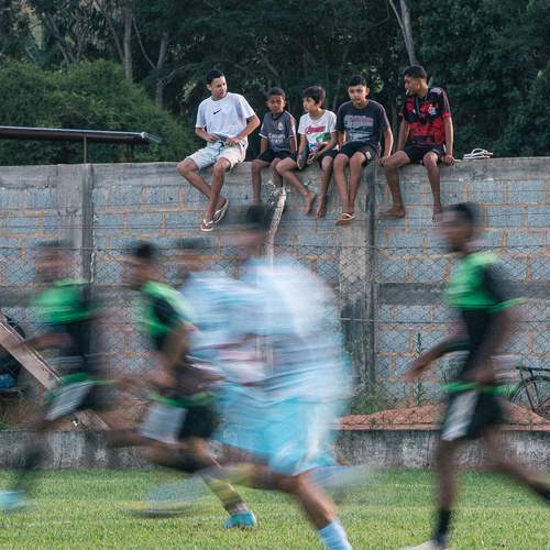 Photo #13720036