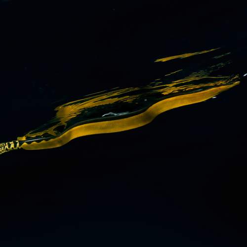 Photo #13720055