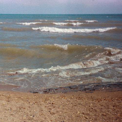 Photo #13720058