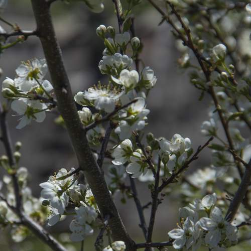 Photo #13720059