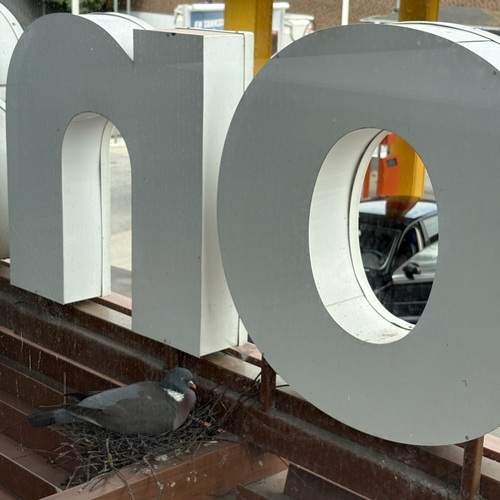Photo #13720099