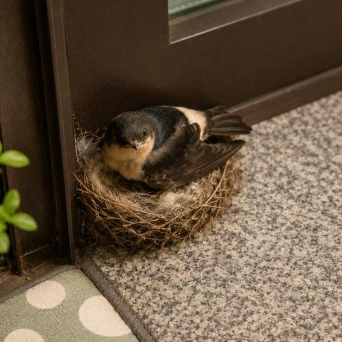 Photo #13720405
