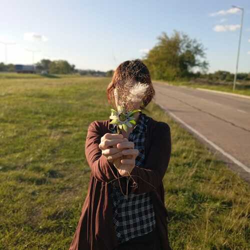 Photo #13720410