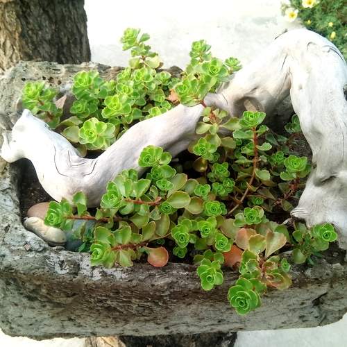 Photo #13720488