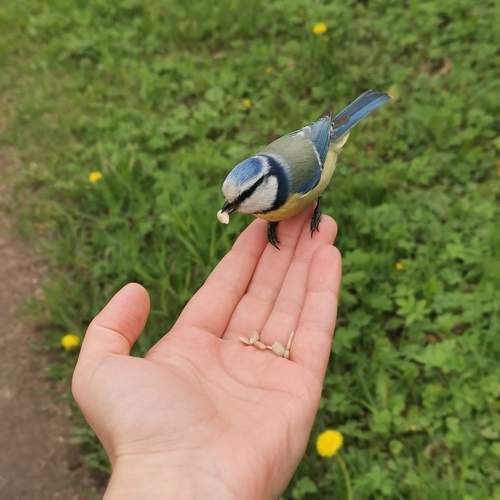 Photo #13720499