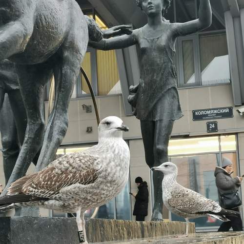 Photo #13720524