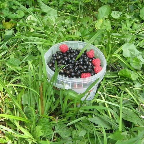 Photo #13720598