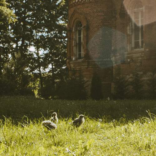 Photo #13720621