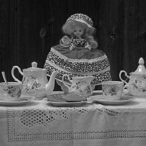 Photo #13720800