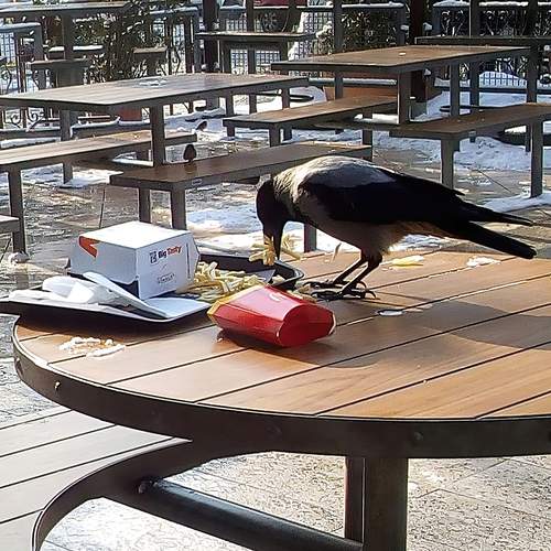 Photo #13720808
