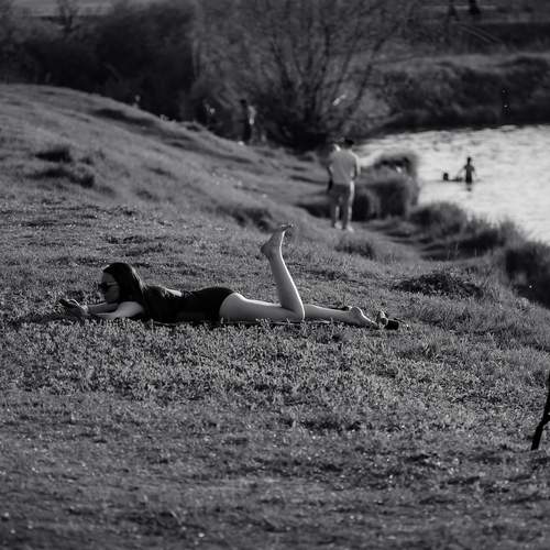 Photo #13720811