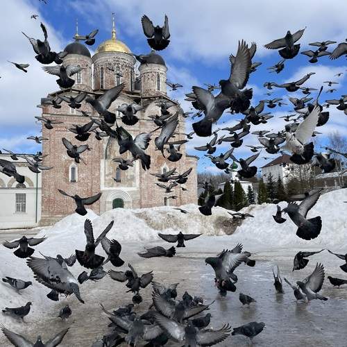 Photo #13720847