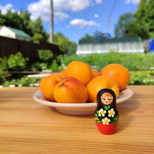 Photo #13720852