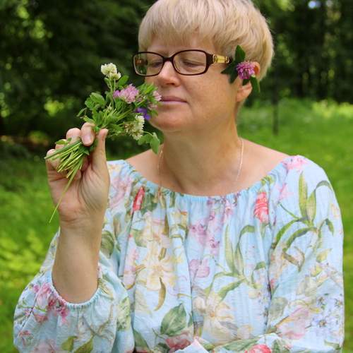 Photo #13720855