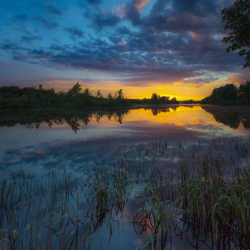 Photo #13720878