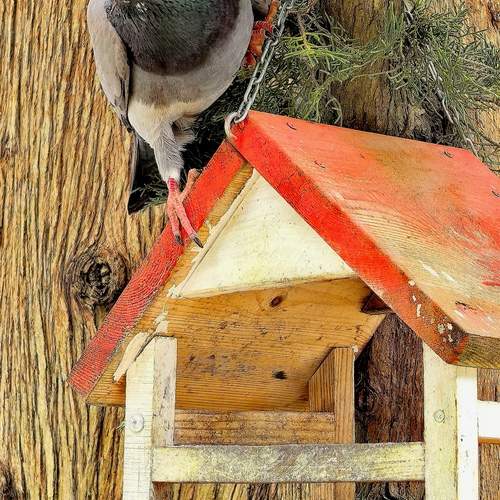Photo #13720889
