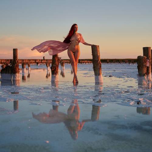 Photo #13720954