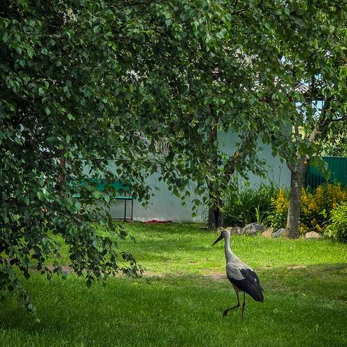 Photo #13720958