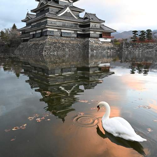 Photo #13720975