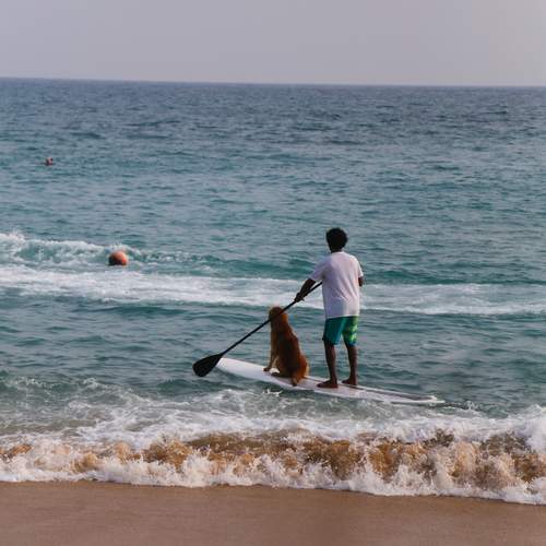 Photo #13721015
