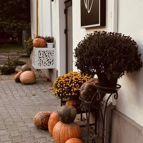 Photo #13721045