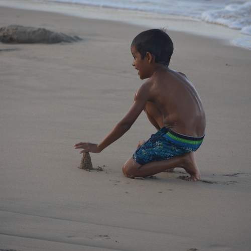 Photo #13721054